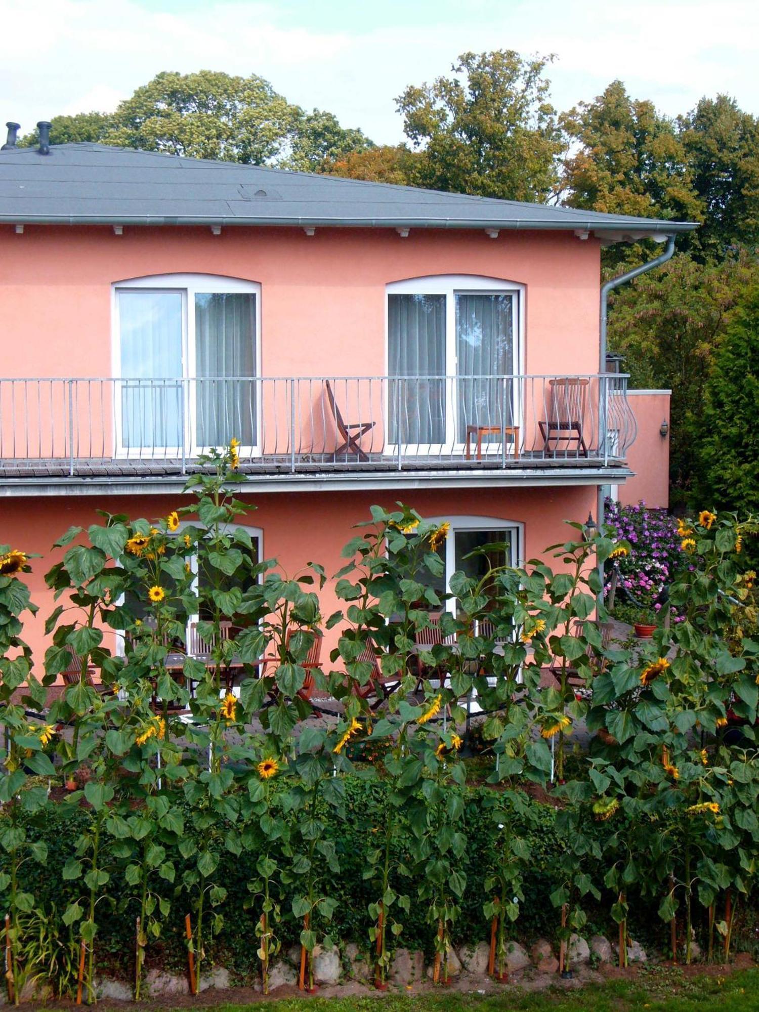 Pension Waldeck Goehren  Εξωτερικό φωτογραφία